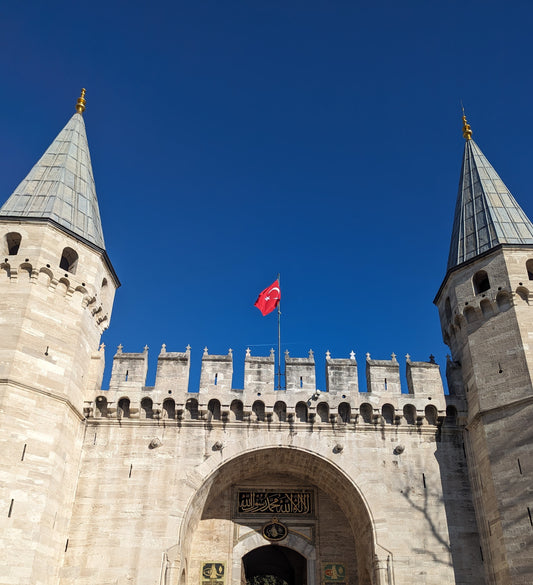 The Making of Modern Turkey: State, Islam, and Geopolitics